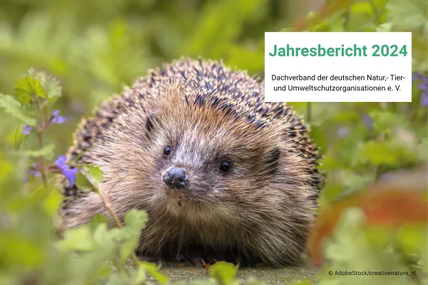 Igel auf Wiese mit Kasten "Jahresbericht 2024"